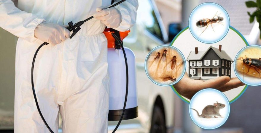 Soma Böcek İlaçlama