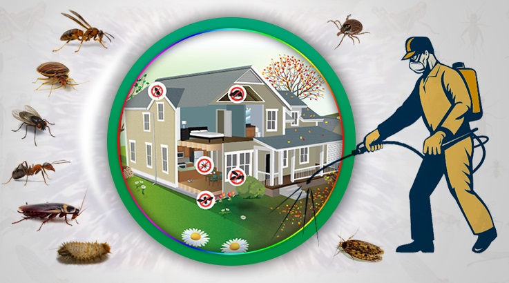 Soma Böcek İlaçlama