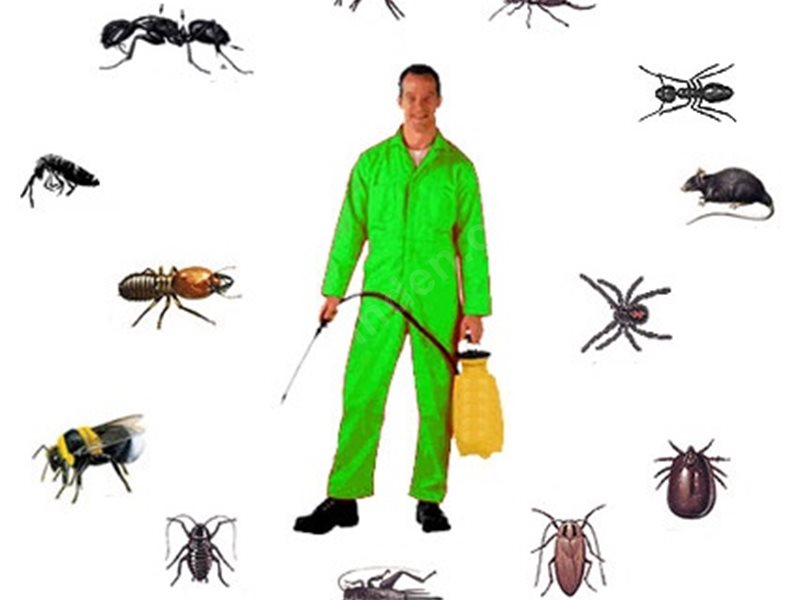 Soma Böcek İlaçlama